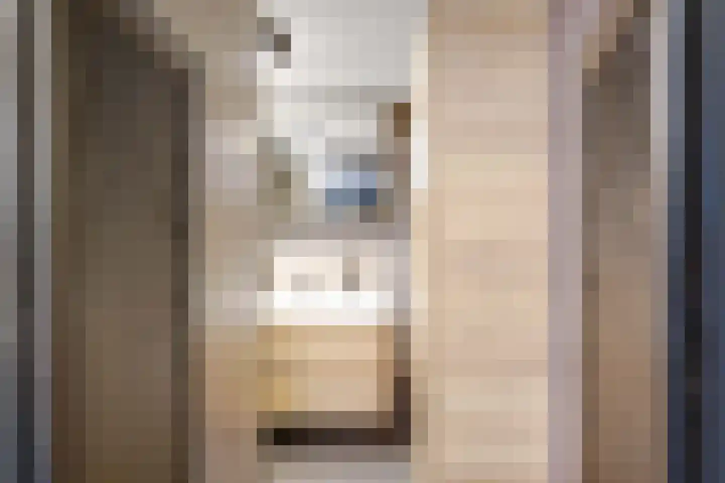 Torensmaweg 7 Feerwerd thumbnail 37