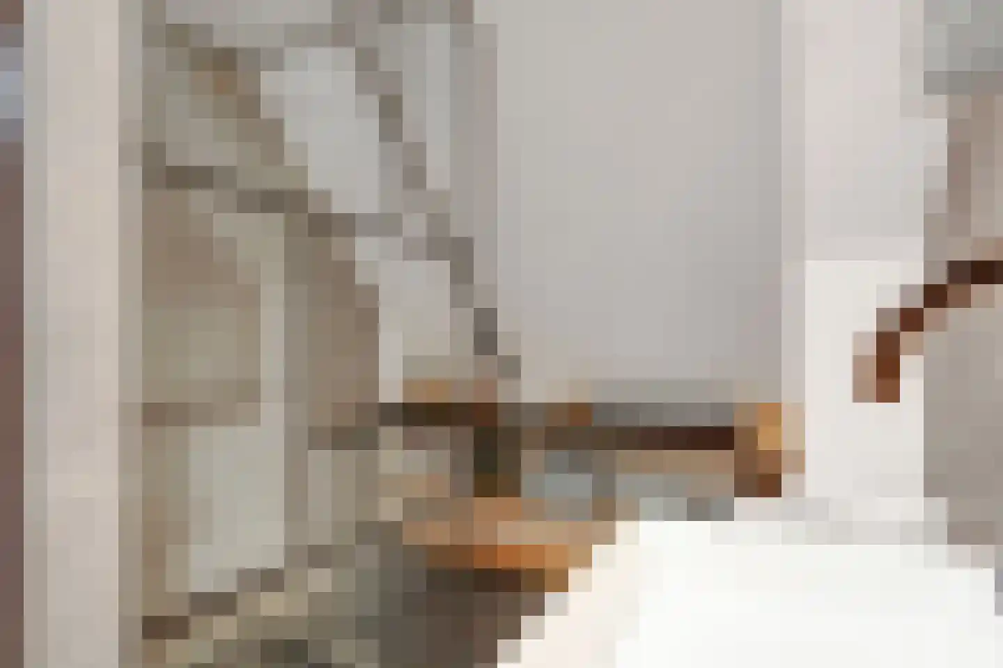Torensmaweg 7 Feerwerd thumbnail 39