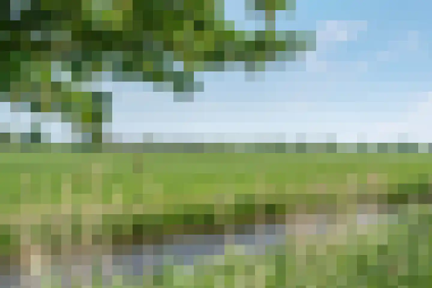 Torensmaweg 7 Feerwerd thumbnail 4
