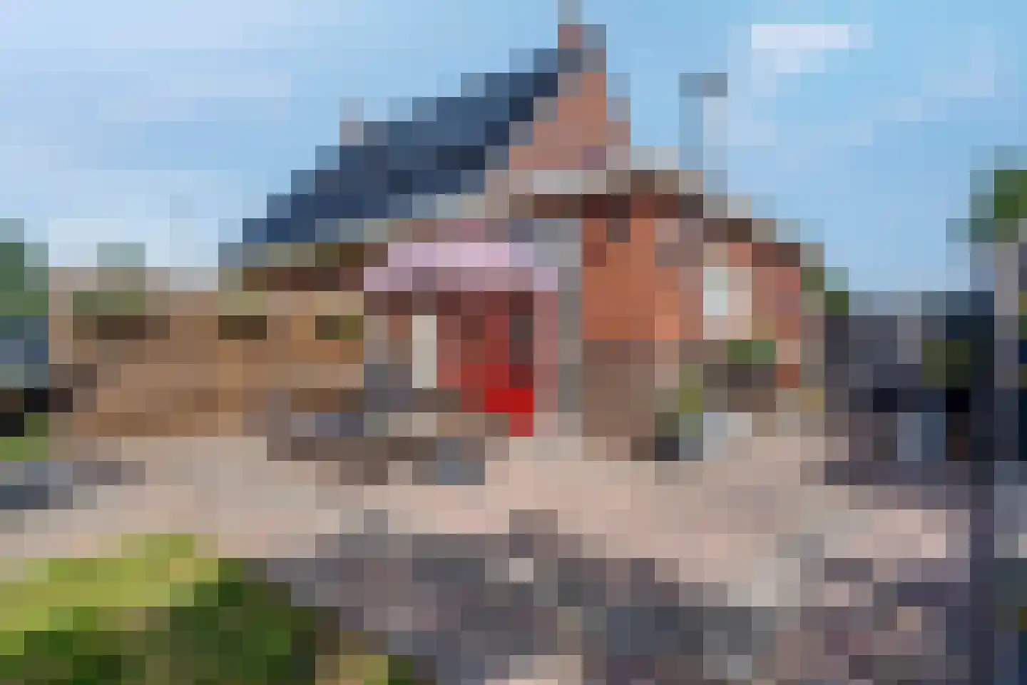 Torensmaweg 7 Feerwerd thumbnail 43
