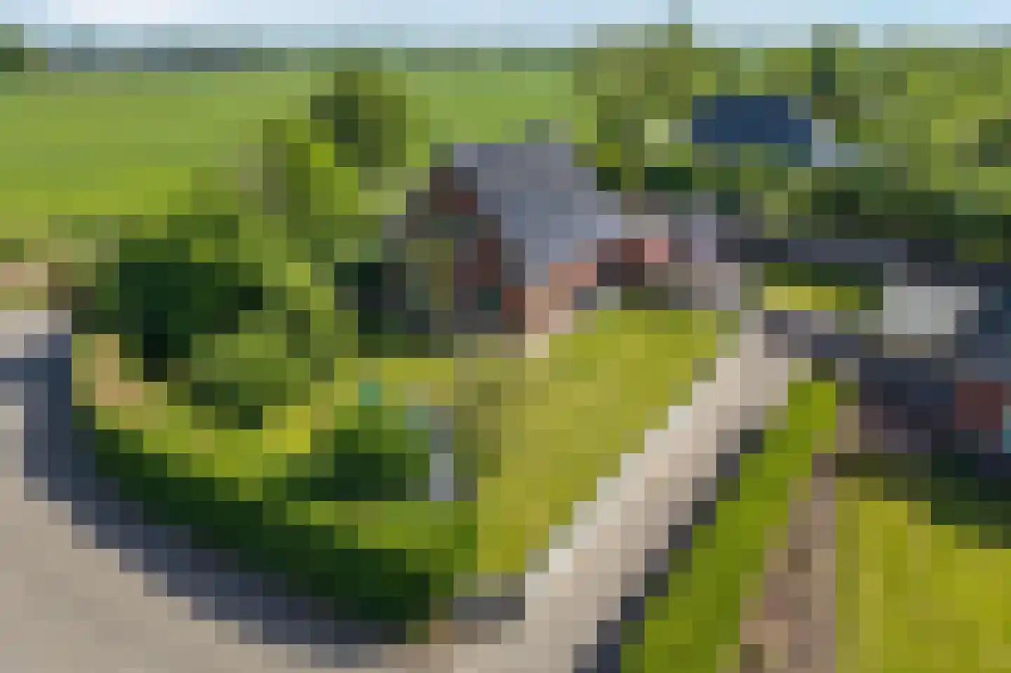 Torensmaweg 7 Feerwerd thumbnail 55
