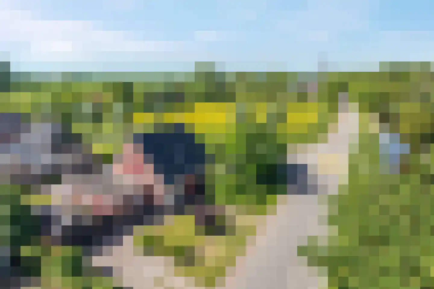 Torensmaweg 7 Feerwerd thumbnail 56