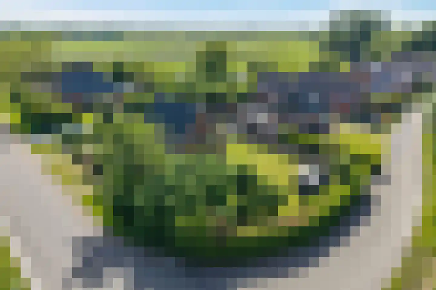 Torensmaweg 7 Feerwerd thumbnail 57