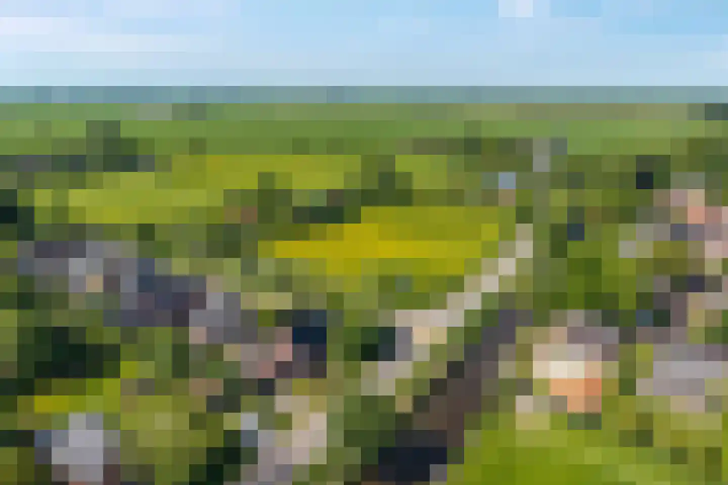 Torensmaweg 7 Feerwerd thumbnail 61