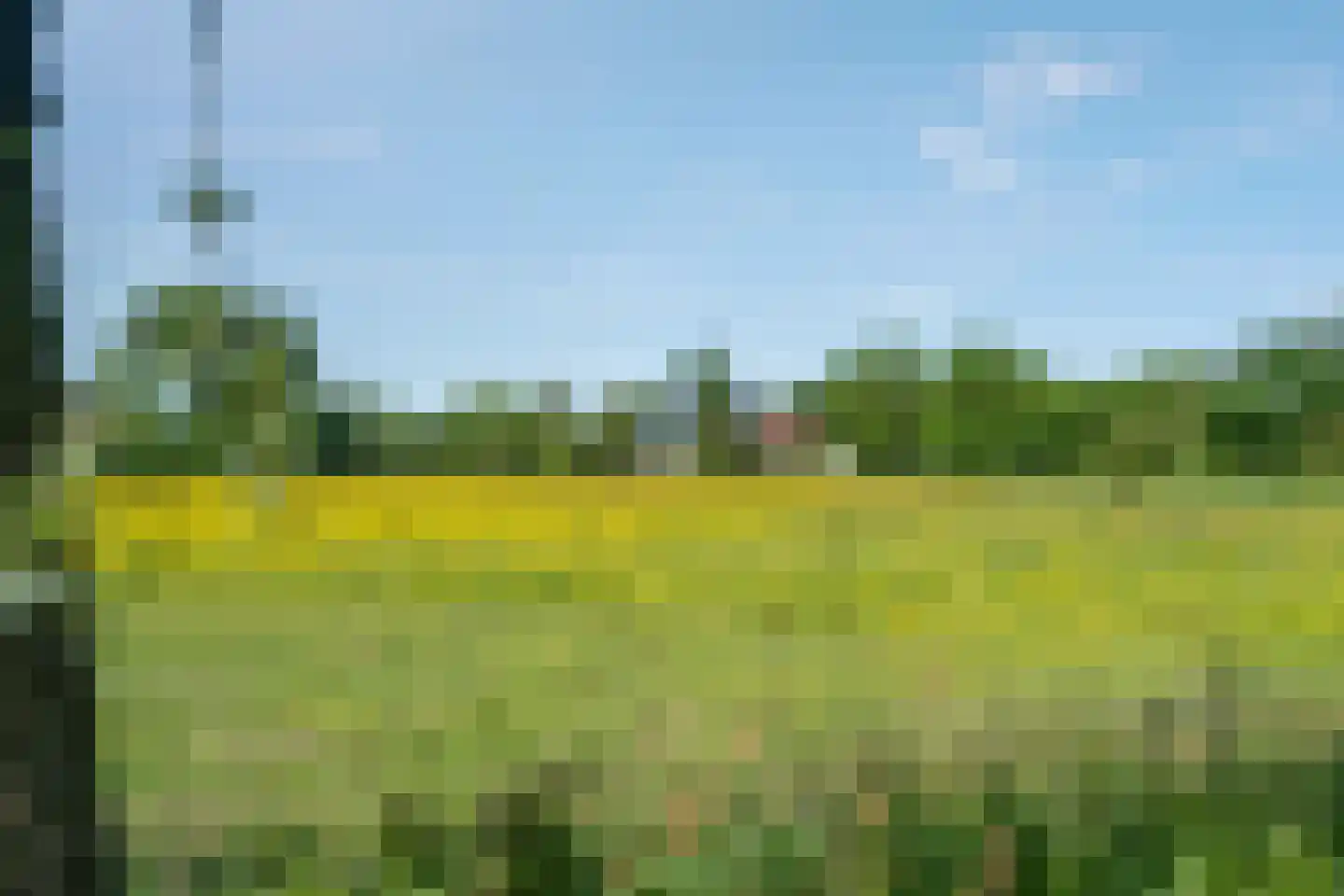 Torensmaweg 7 Feerwerd thumbnail 62