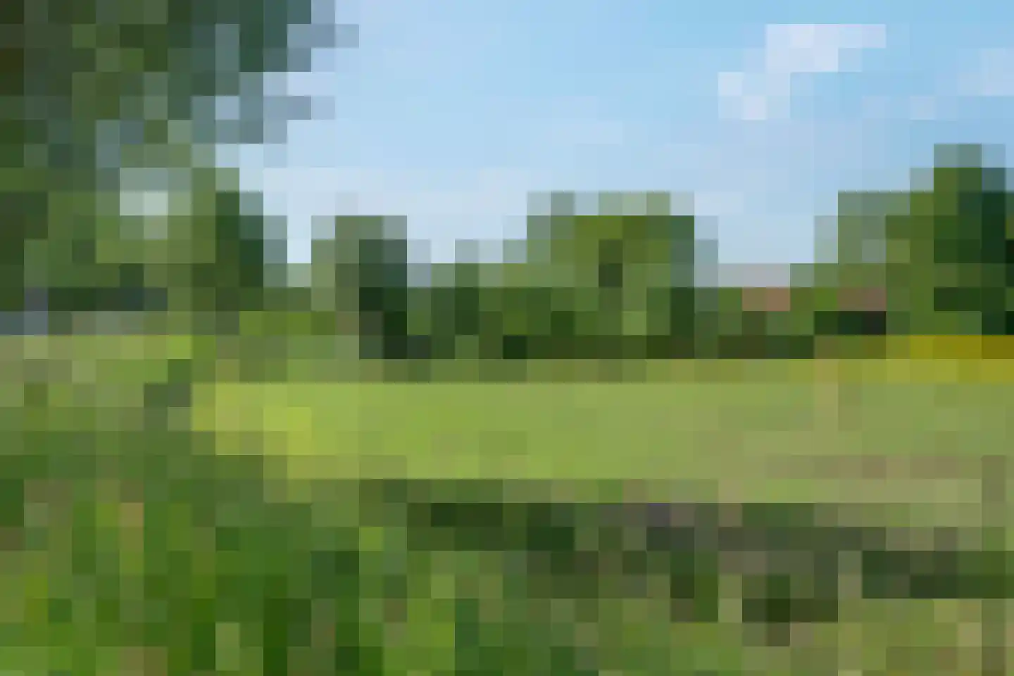 Torensmaweg 7 Feerwerd thumbnail 63