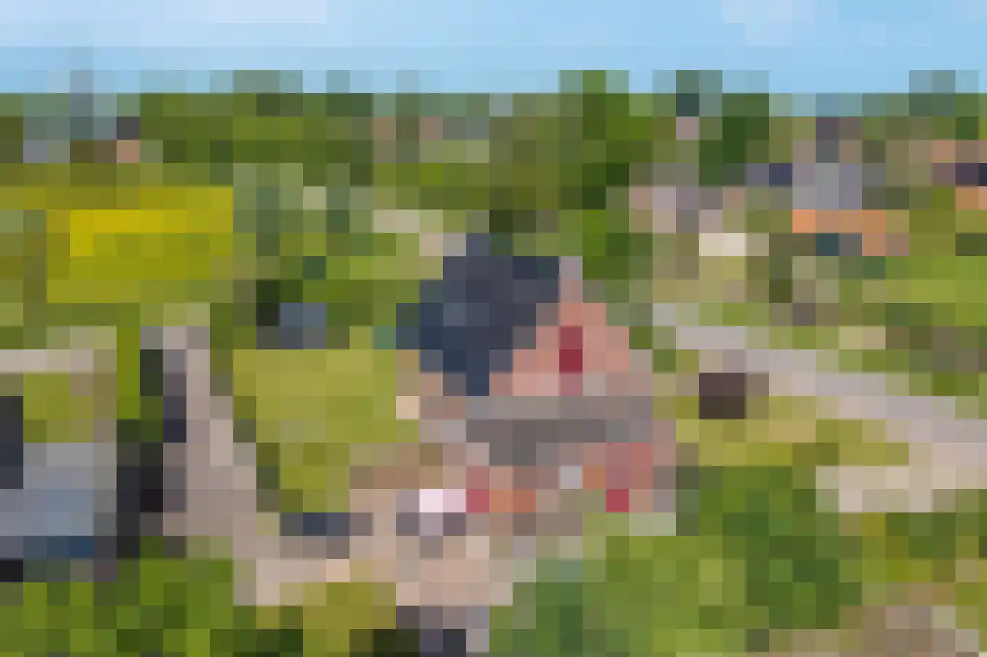 Torensmaweg 7 Feerwerd thumbnail 8
