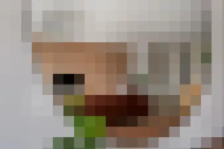 Torensteelaan 11 Numansdorp thumbnail 13
