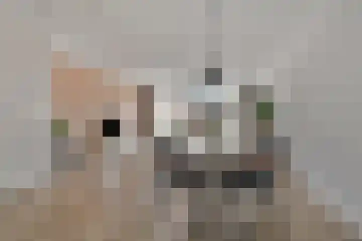 Torensteelaan 11 Numansdorp thumbnail 16