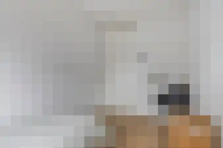 Torensteelaan 11 Numansdorp thumbnail 27