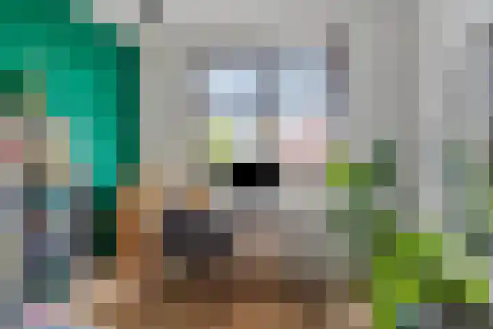 Torensteelaan 11 Numansdorp thumbnail 29