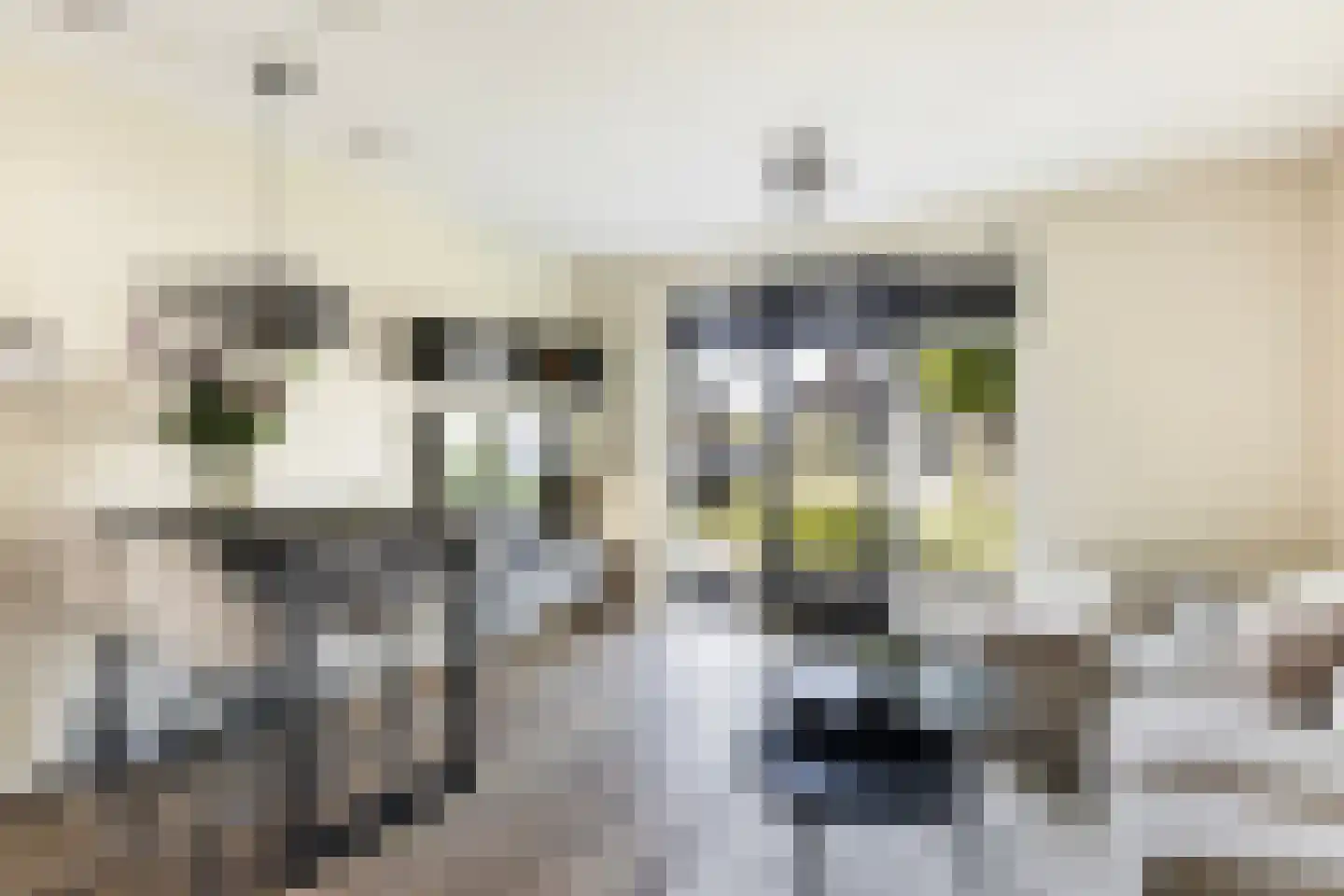 Torensteelaan 45 Numansdorp thumbnail 10