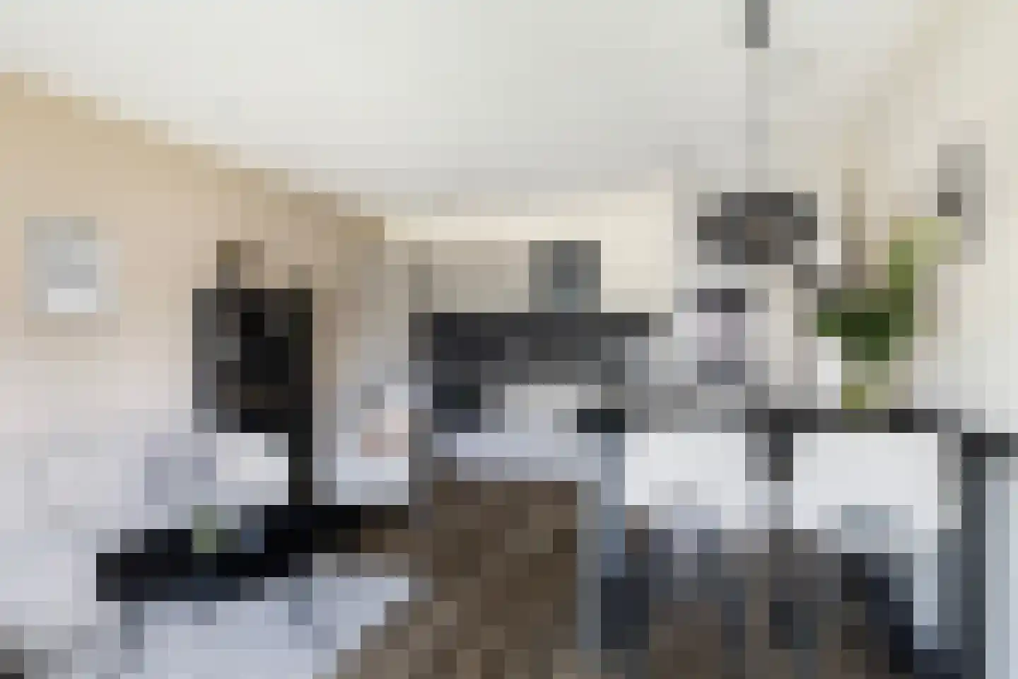Torensteelaan 45 Numansdorp thumbnail 14