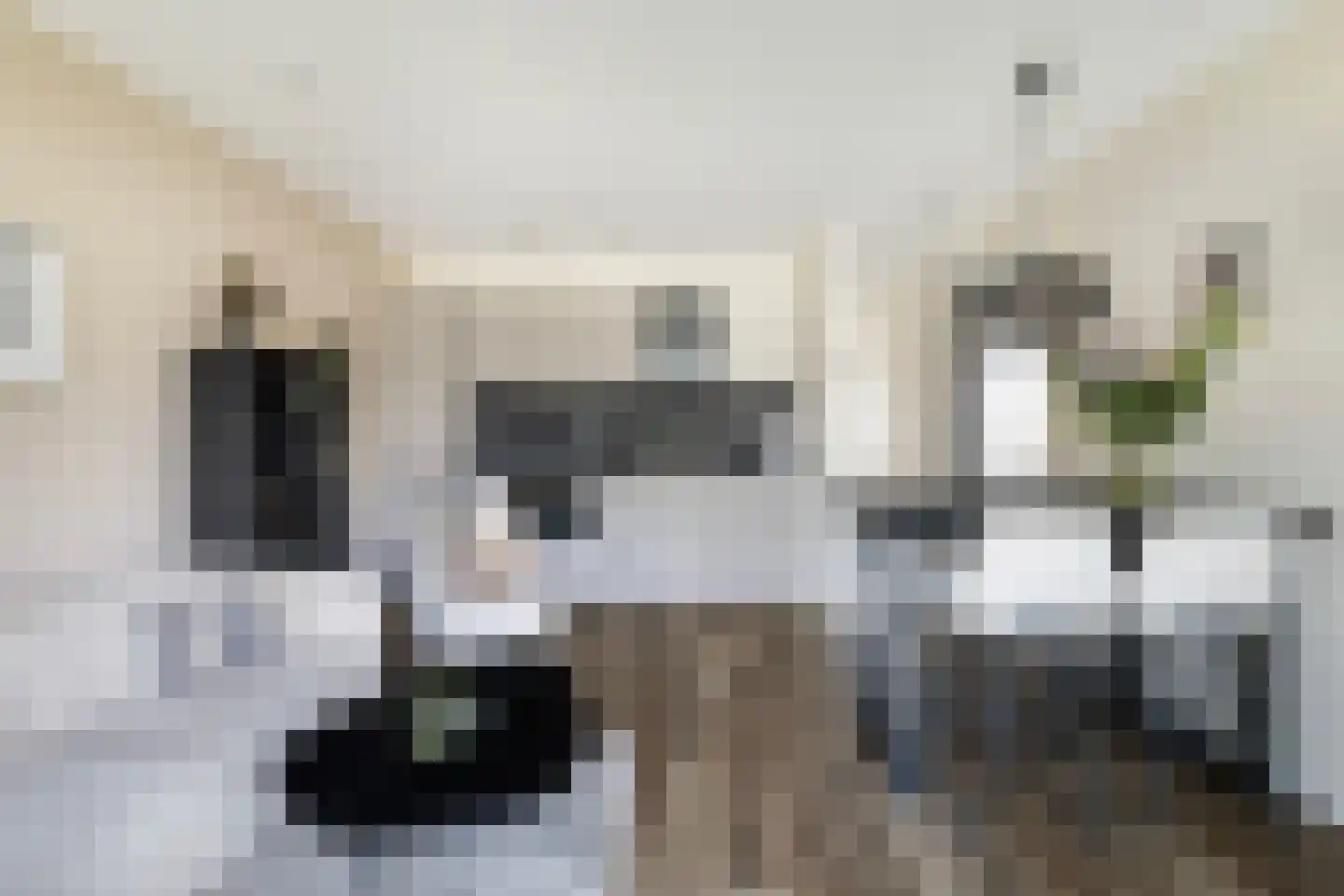 Torensteelaan 45 Numansdorp thumbnail 15