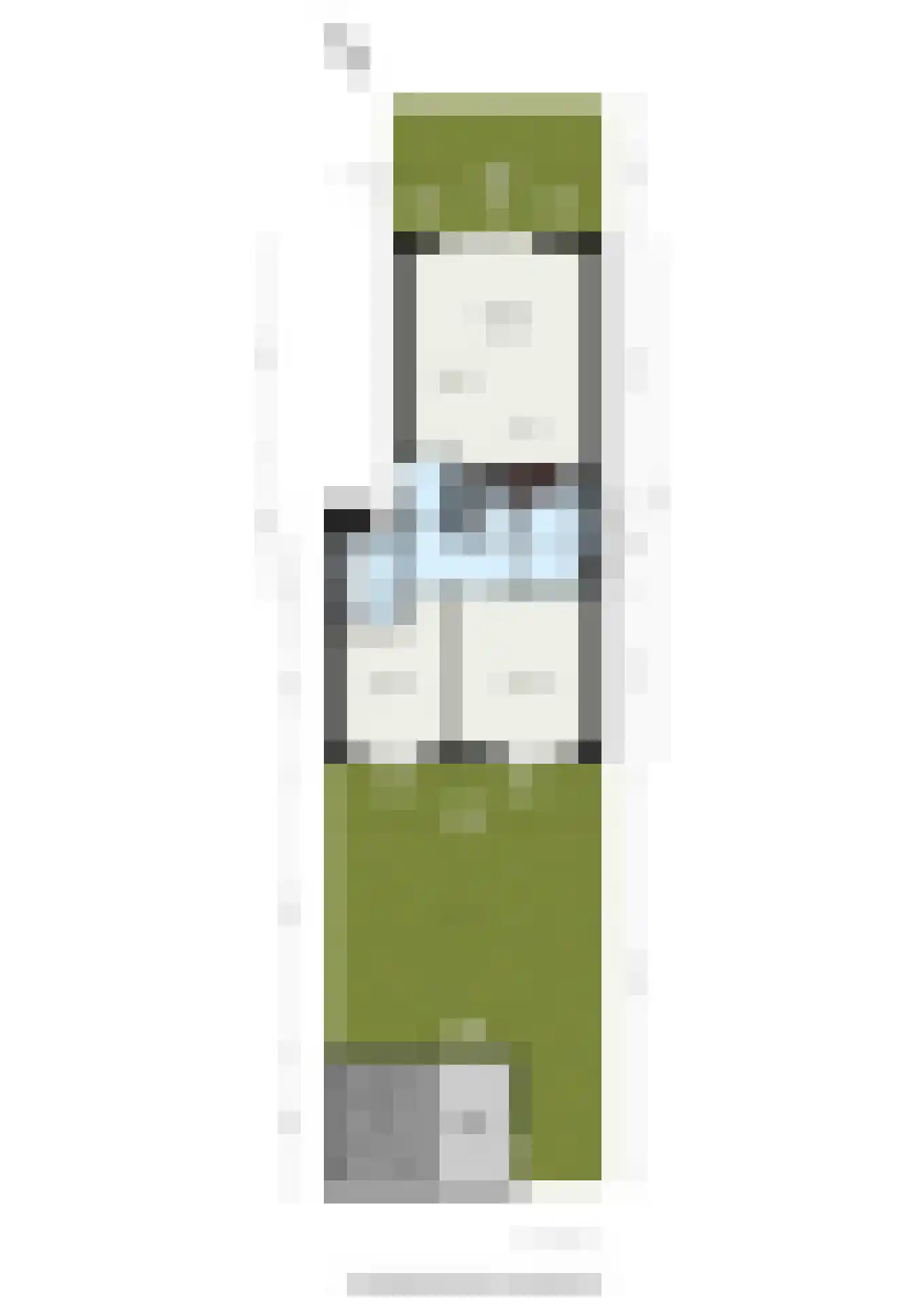 Torensteelaan 45 Numansdorp thumbnail 39