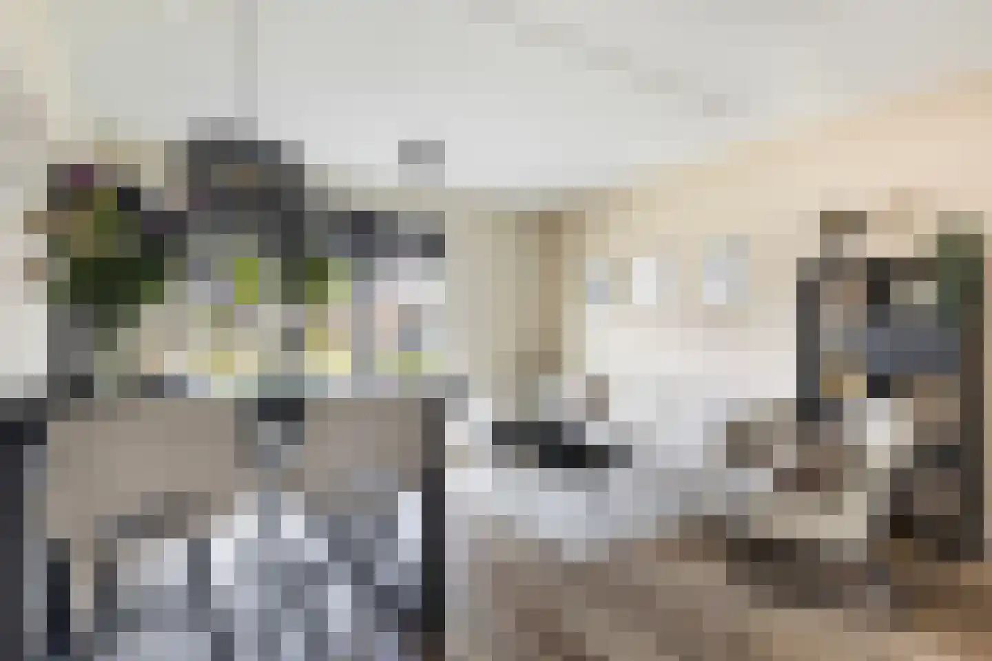 Torensteelaan 45 Numansdorp thumbnail 8