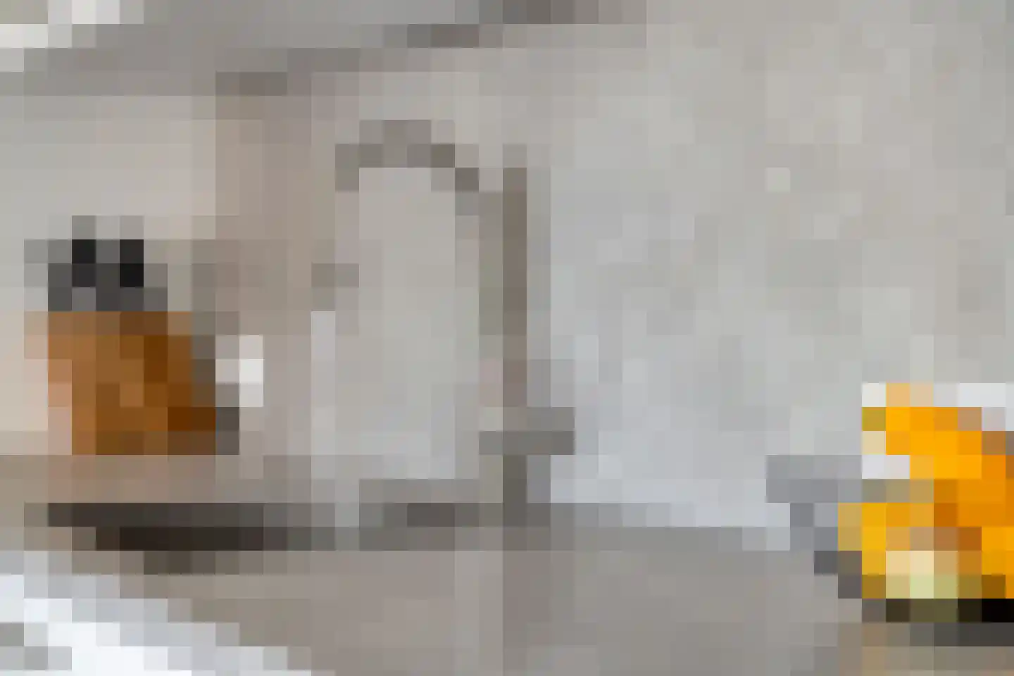 Torensteelaan 49 Numansdorp thumbnail 14