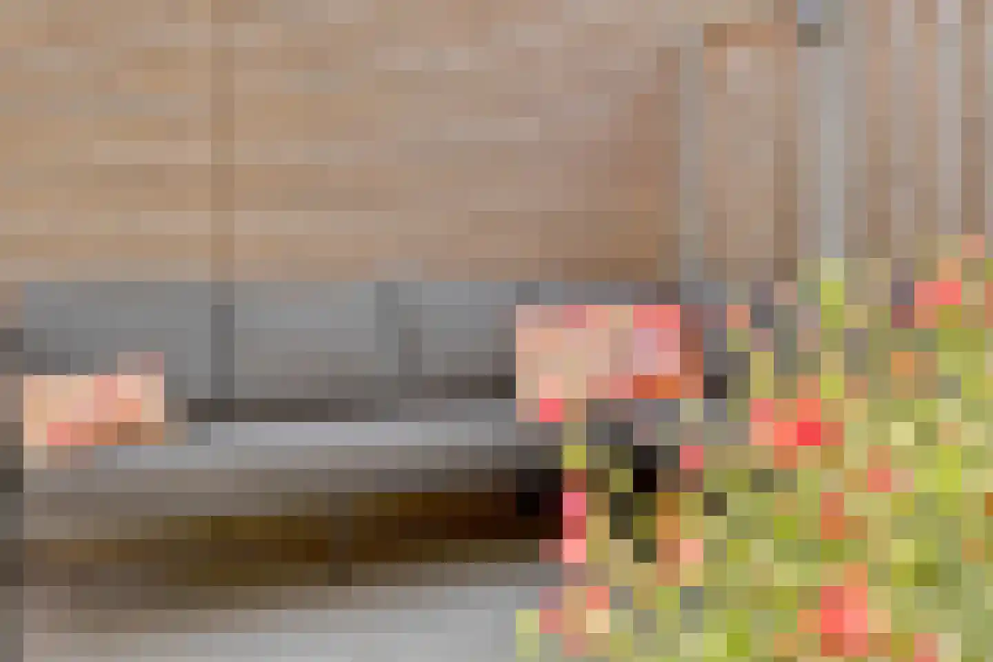 Torensteelaan 49 Numansdorp thumbnail 28