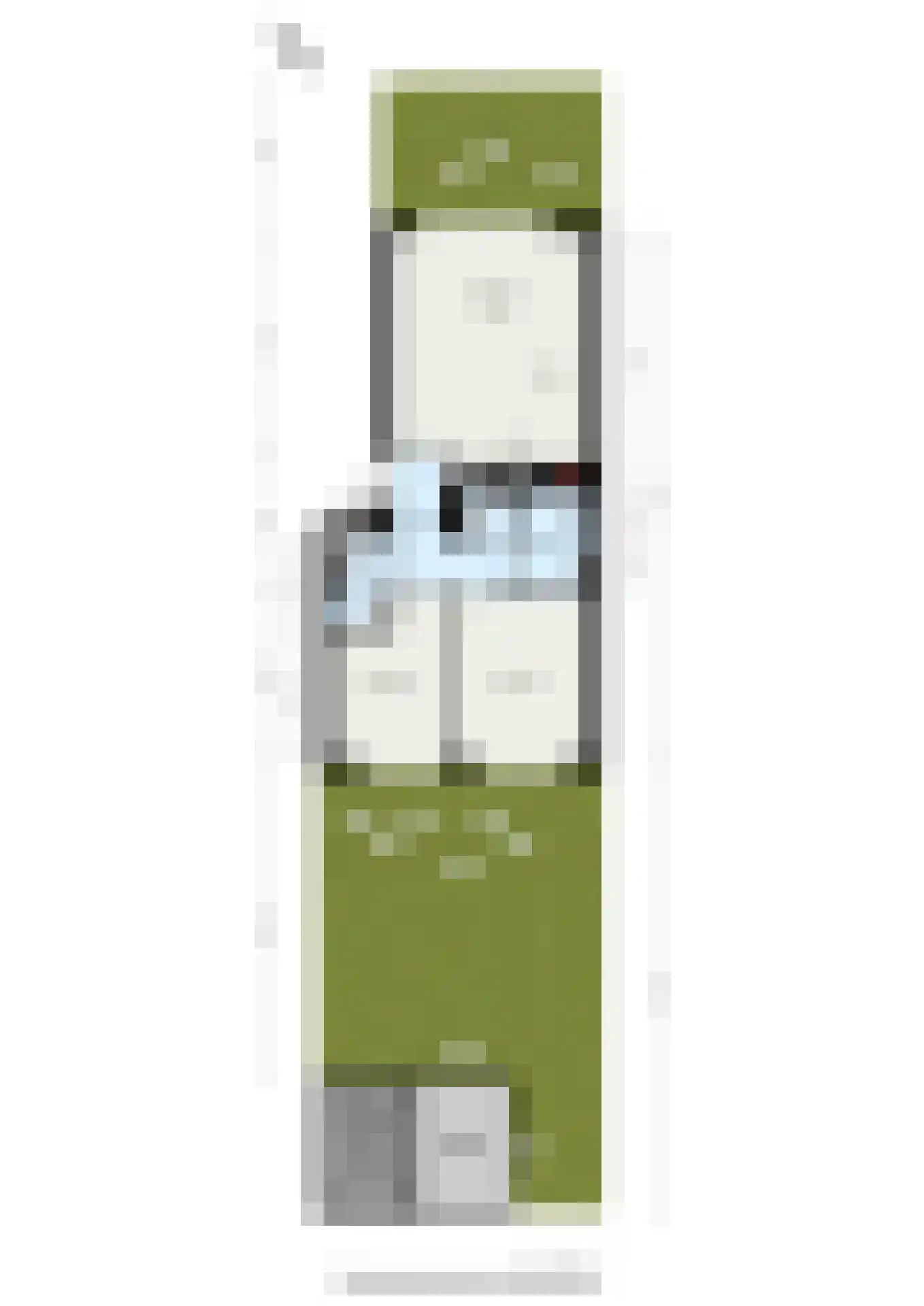 Torensteelaan 49 Numansdorp thumbnail 35
