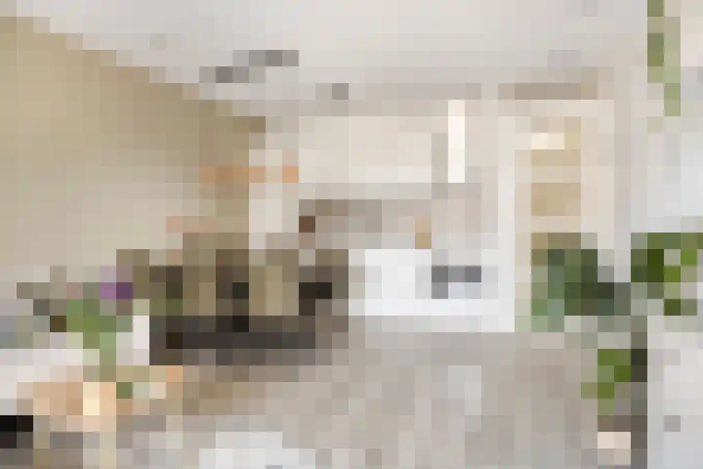 Torensteelaan 49 Numansdorp thumbnail 4