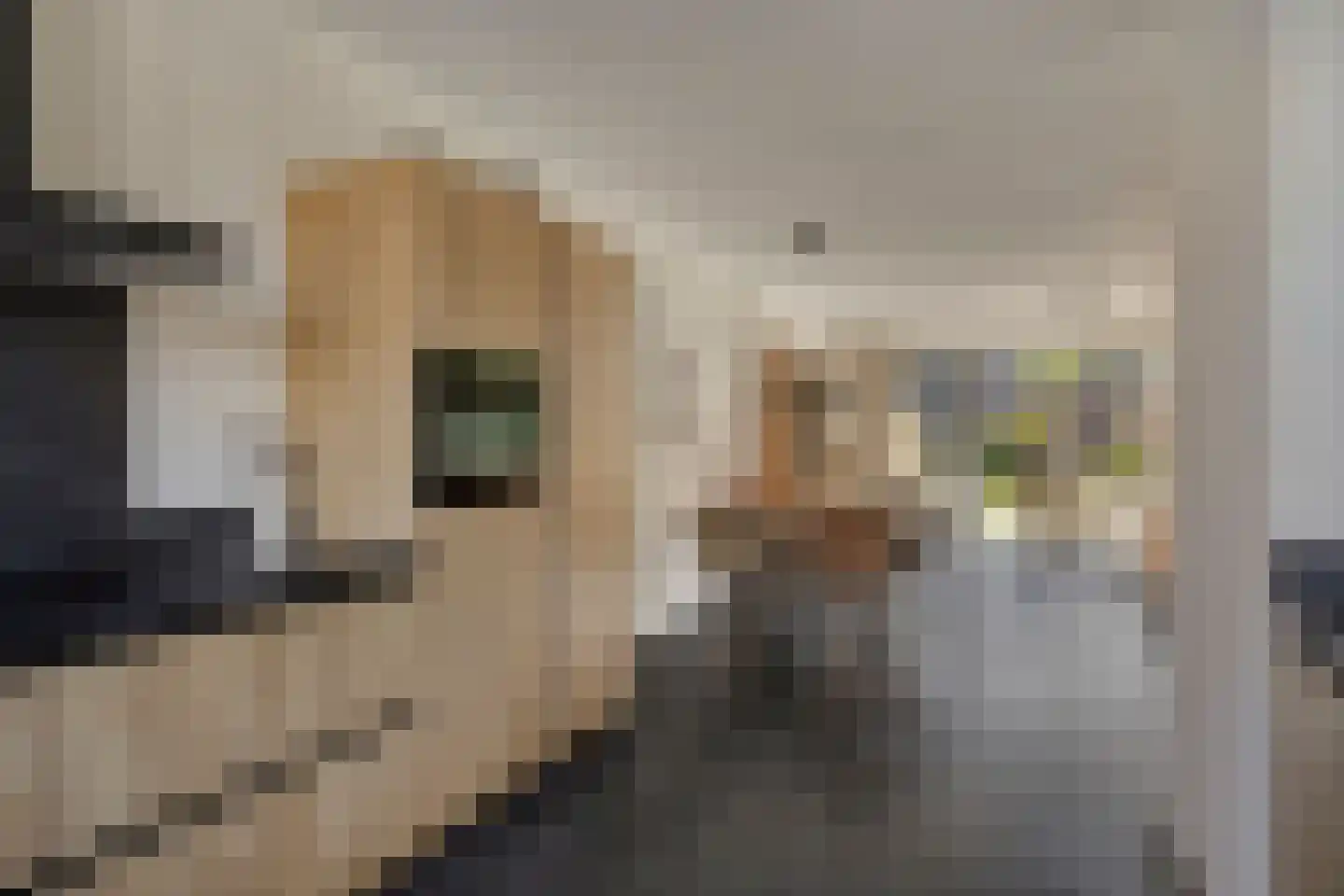 Torensteelaan 63 Numansdorp thumbnail 16