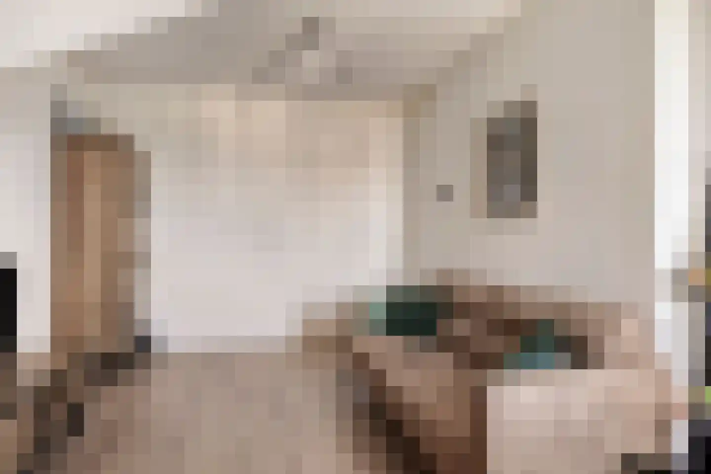 Torensteelaan 63 Numansdorp thumbnail 32