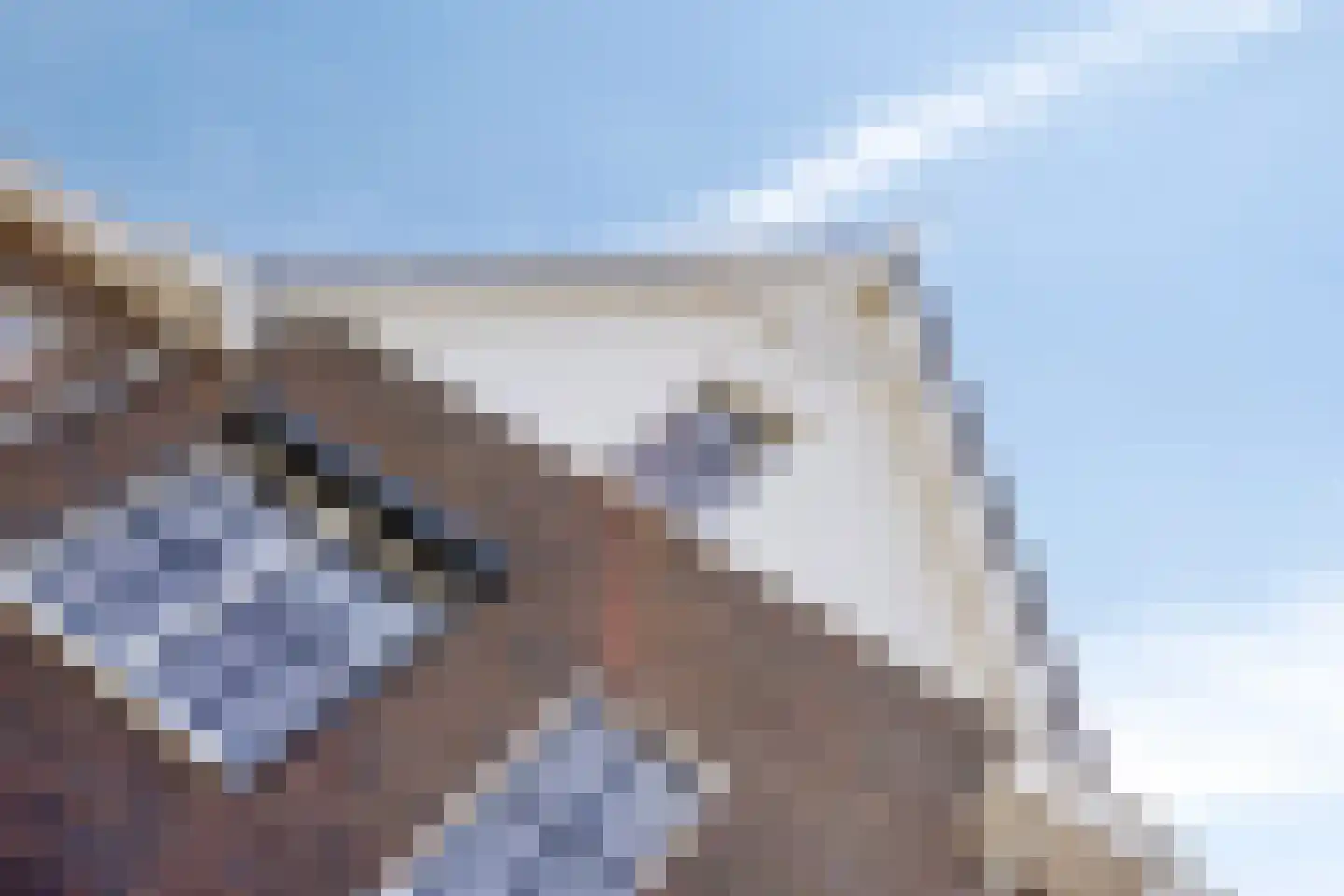 Torensteelaan 63 Numansdorp thumbnail 7