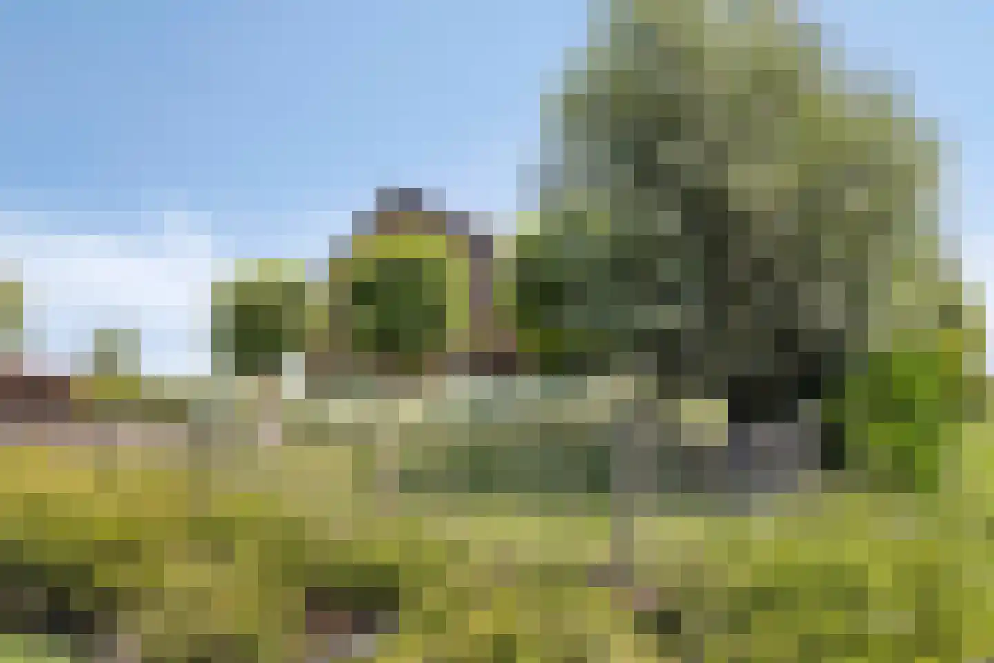 Torenstraat 1 Dodewaard thumbnail 10