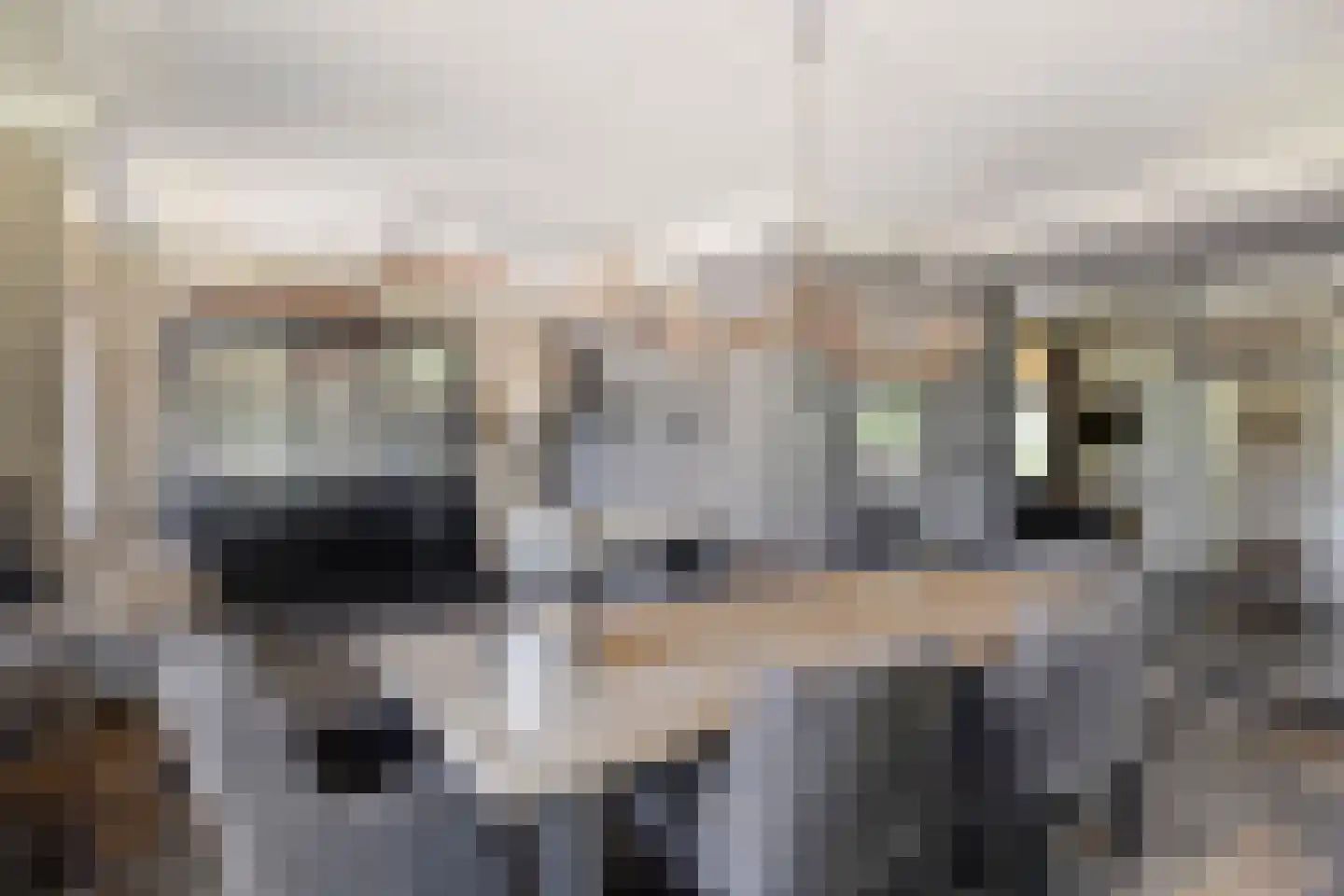 Torenstraat 1 Dodewaard thumbnail 14