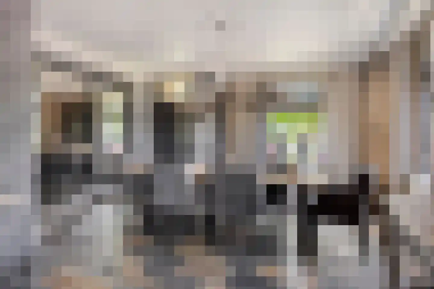 Torenstraat 1 Dodewaard thumbnail 15
