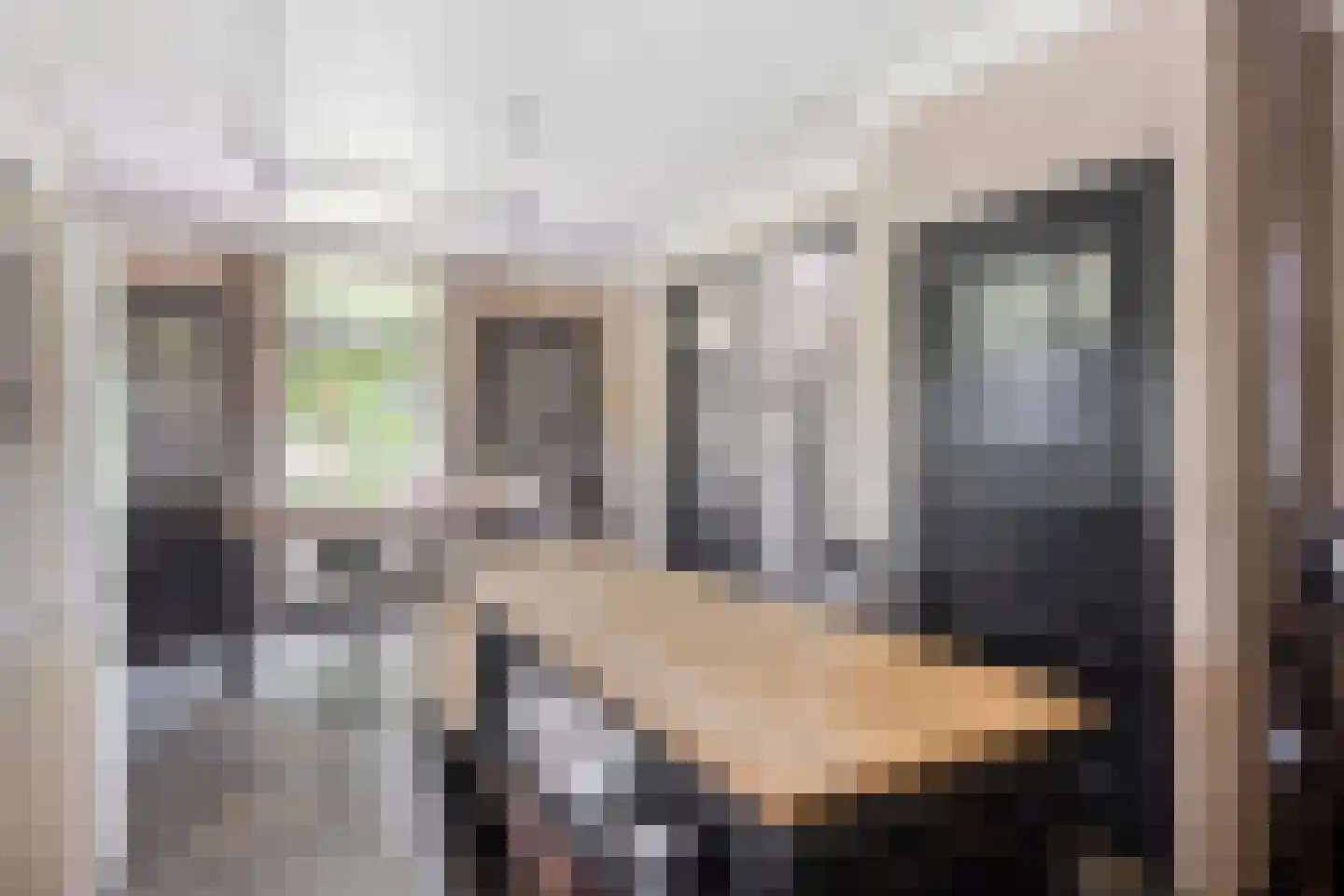 Torenstraat 1 Dodewaard thumbnail 18