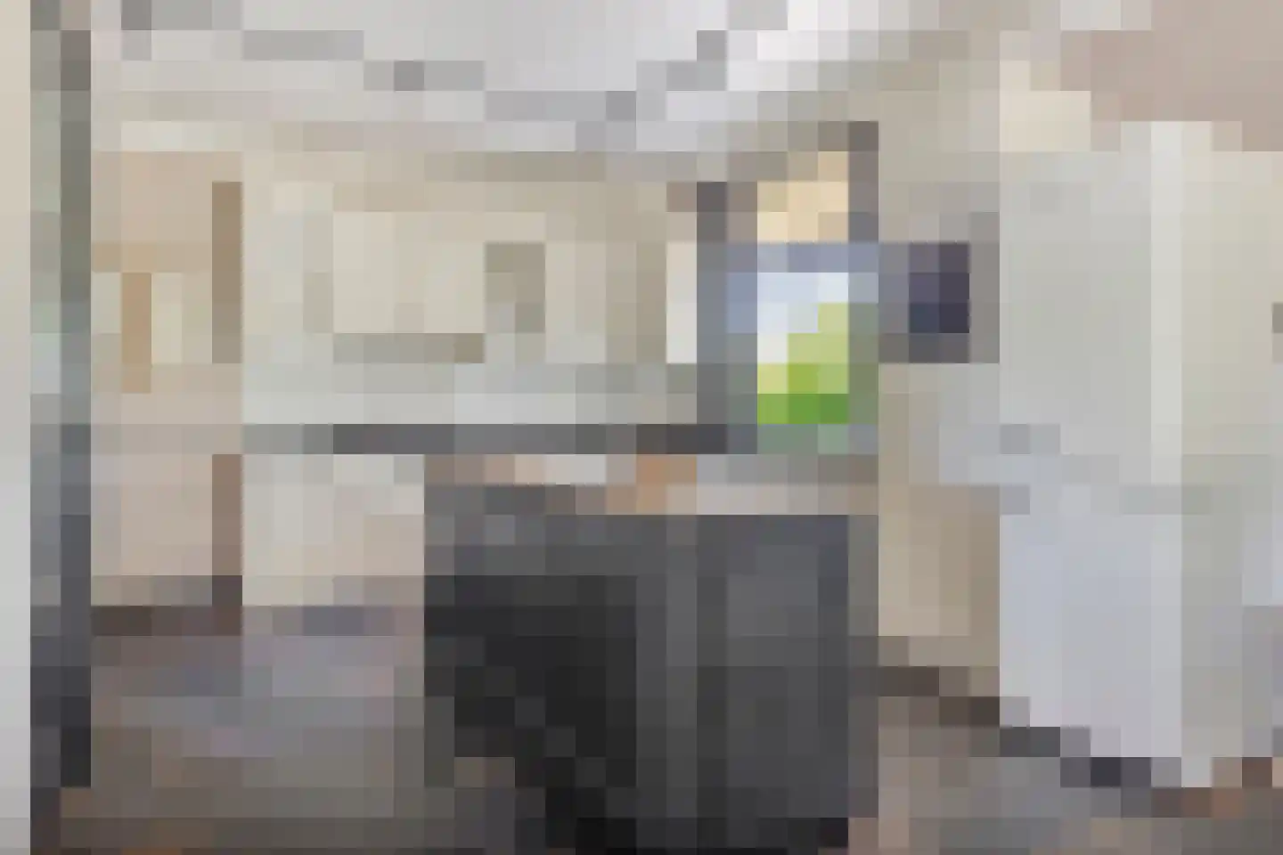 Torenstraat 1 Dodewaard thumbnail 20