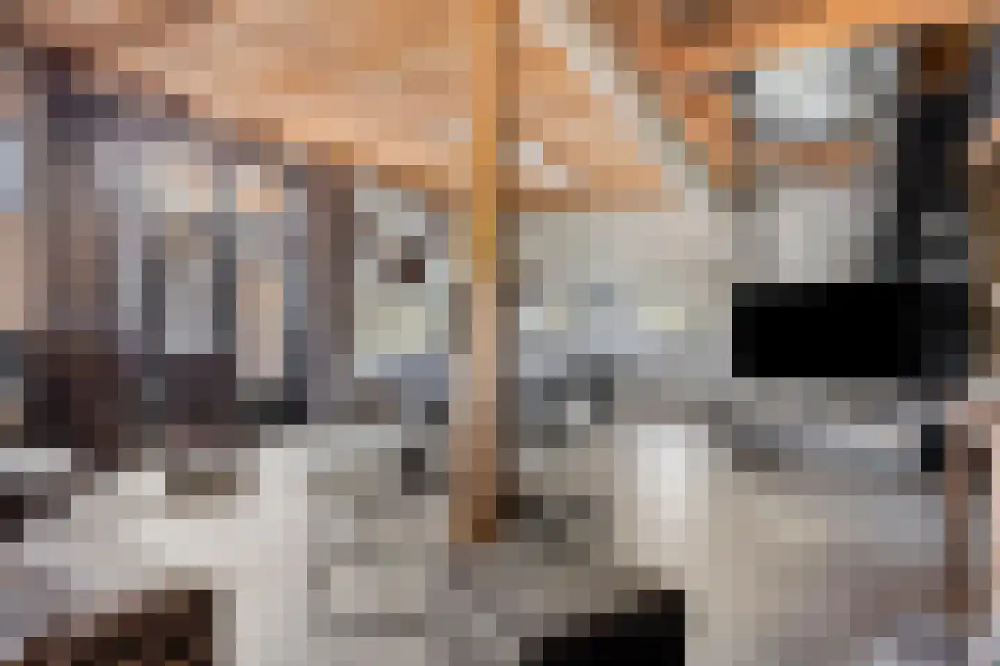 Torenstraat 1 Dodewaard thumbnail 24
