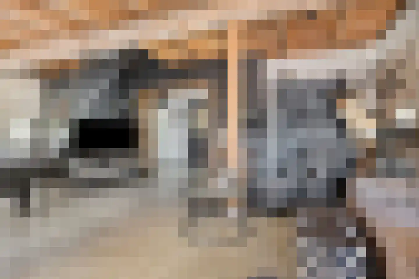 Torenstraat 1 Dodewaard thumbnail 25