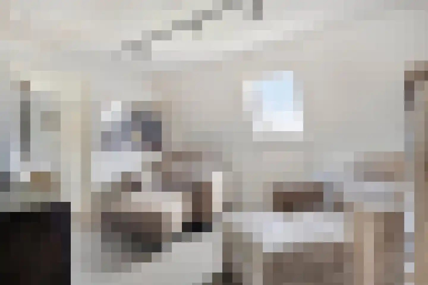 Torenstraat 1 Dodewaard thumbnail 30