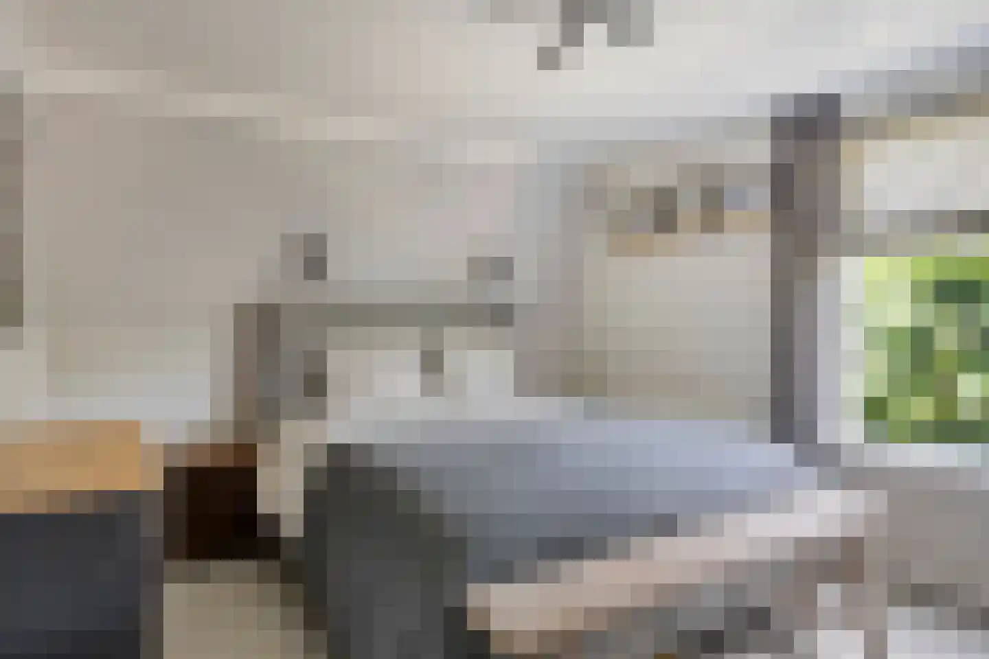 Torenstraat 1 Dodewaard thumbnail 33