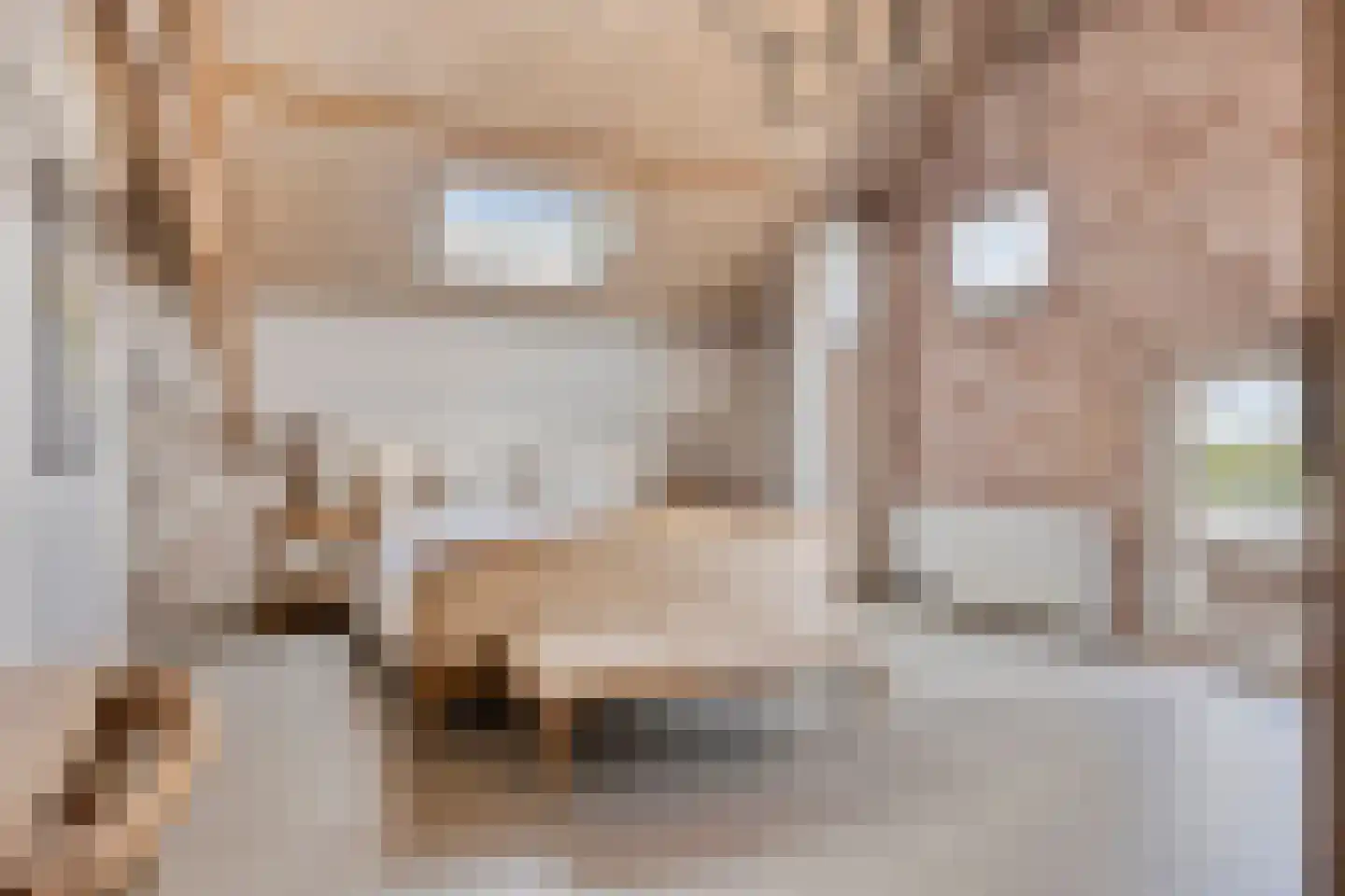 Torenstraat 1 Dodewaard thumbnail 41