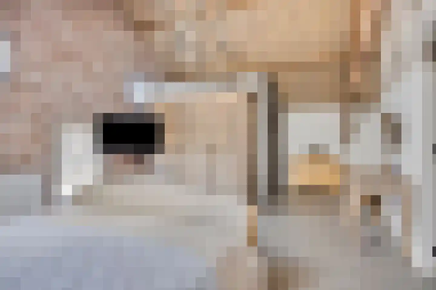 Torenstraat 1 Dodewaard thumbnail 42
