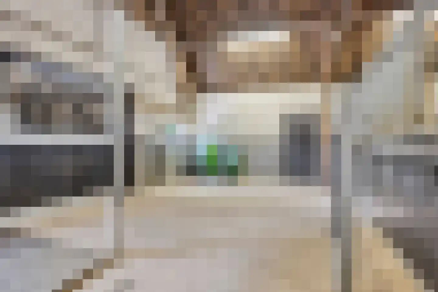 Torenstraat 1 Dodewaard thumbnail 47