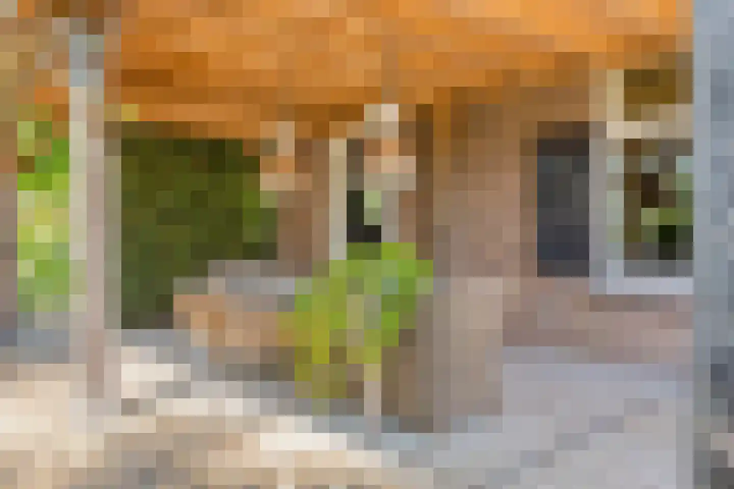 Torenstraat 1 Dodewaard thumbnail 62