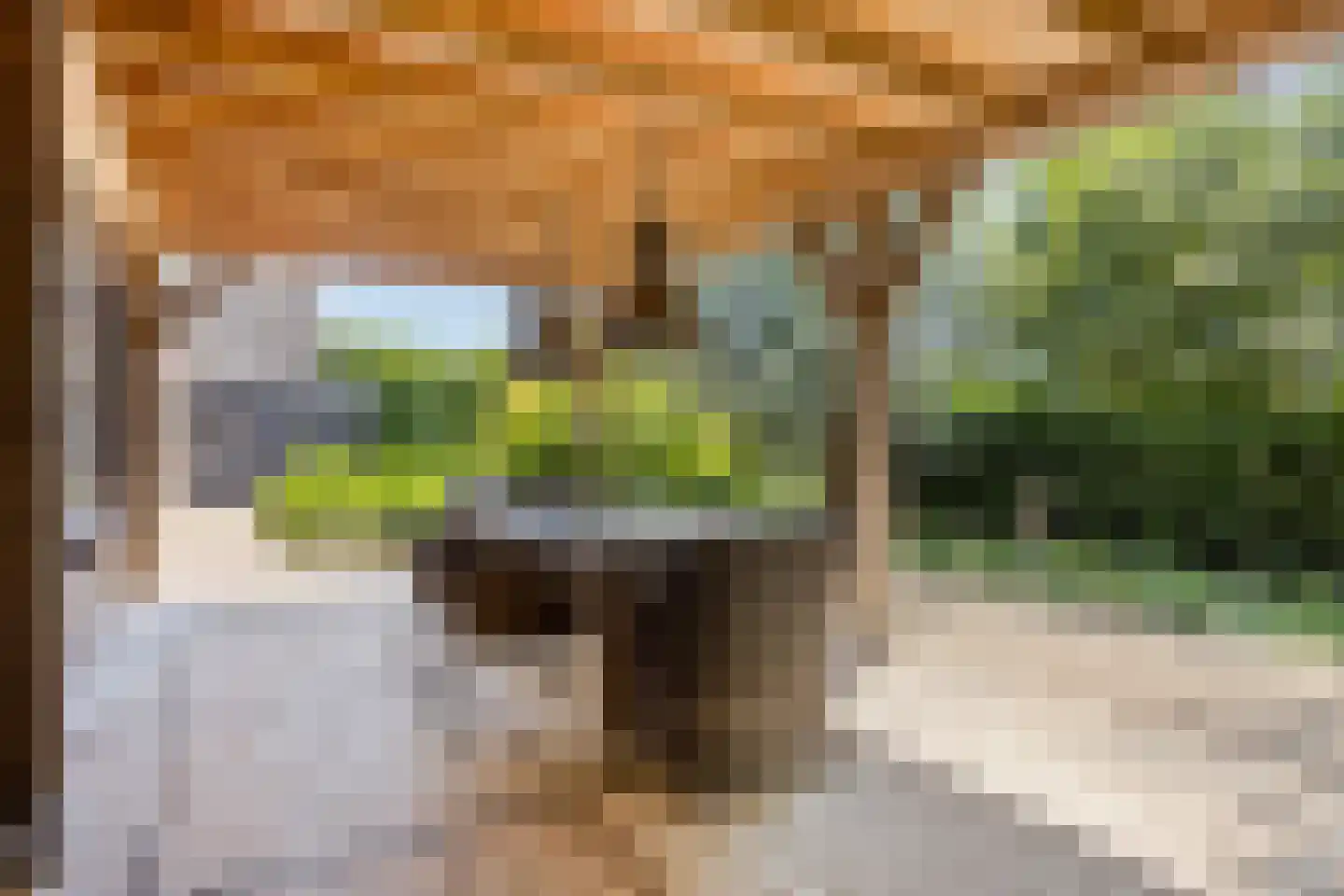 Torenstraat 1 Dodewaard thumbnail 63