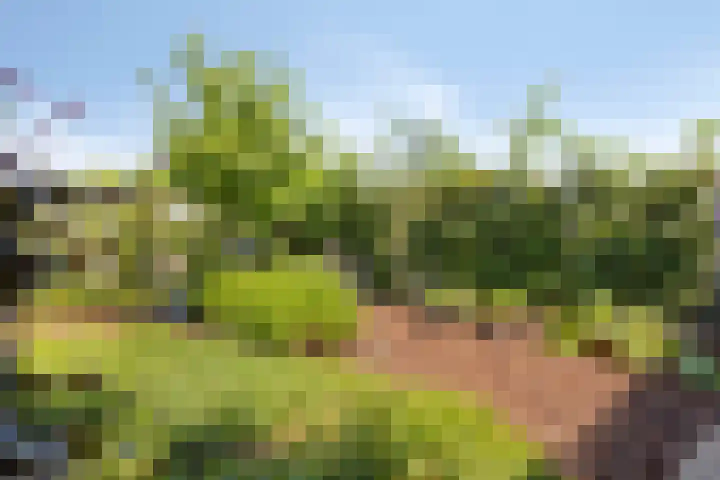 Torenstraat 1 Dodewaard thumbnail 64