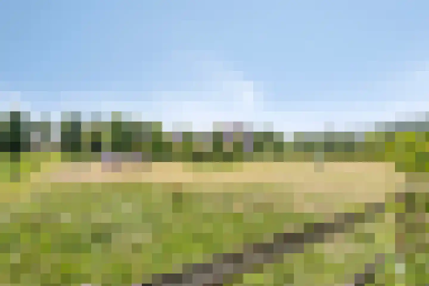 Torenstraat 1 Dodewaard thumbnail 66
