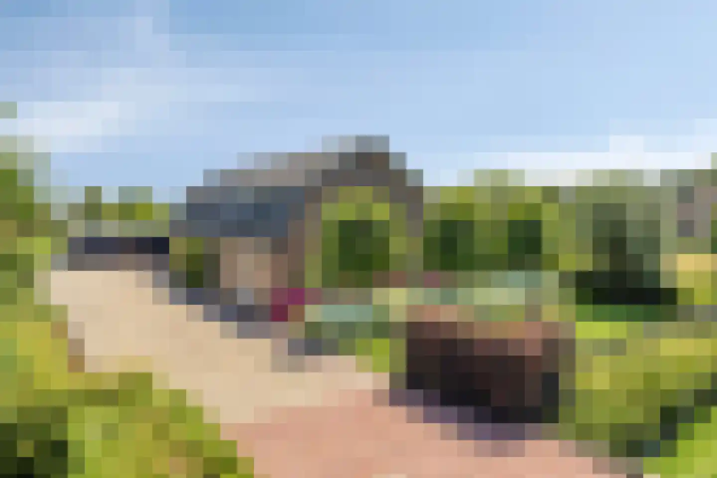 Torenstraat 1 Dodewaard thumbnail 7