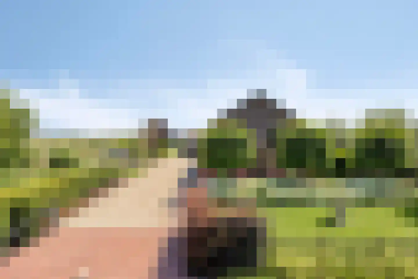 Torenstraat 1 Dodewaard thumbnail 8