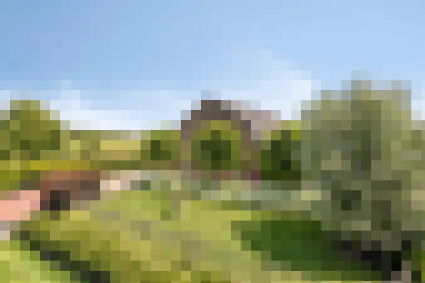 Torenstraat 1 Dodewaard thumbnail 9