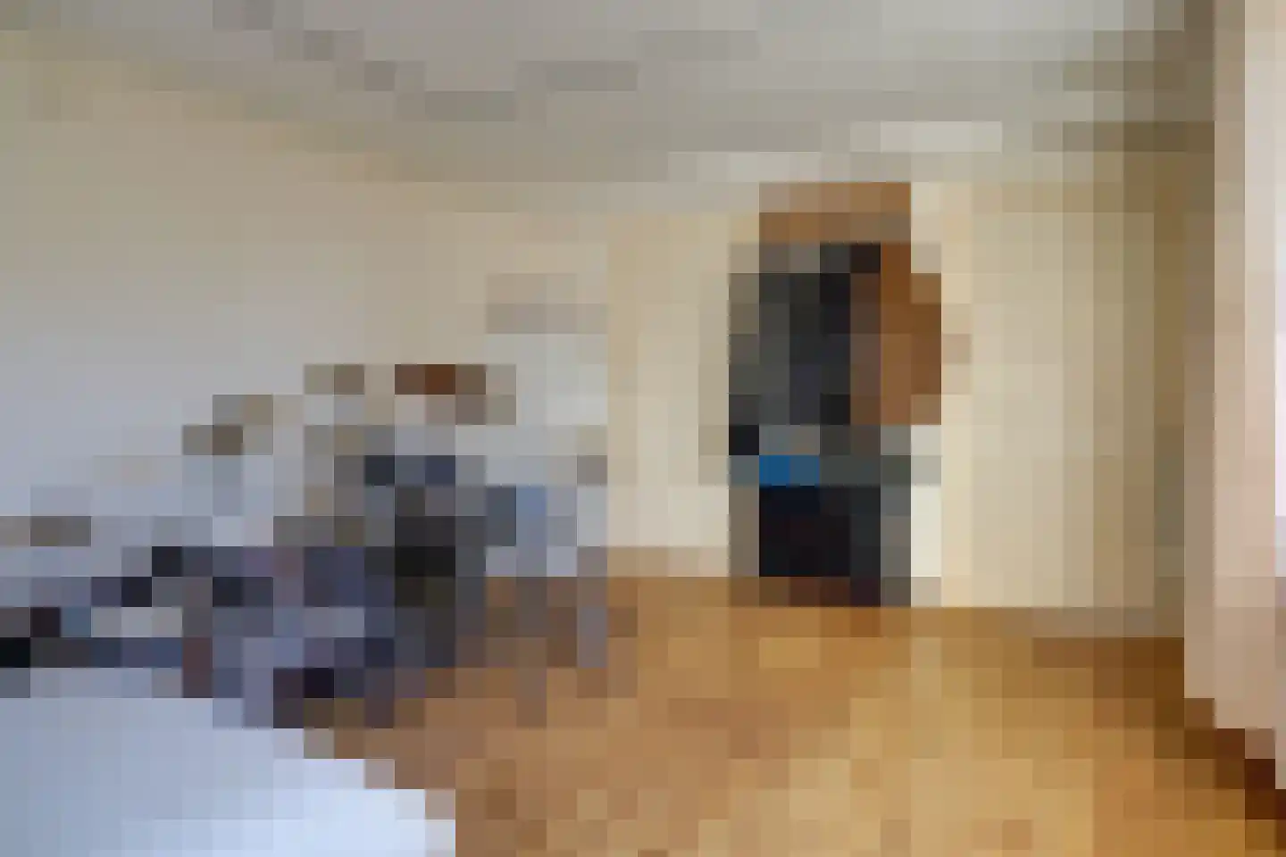 Torenstraat 1 Vlijmen thumbnail 14