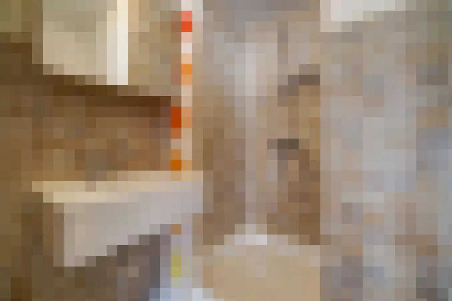 Torenstraat 1 Vlijmen thumbnail 15