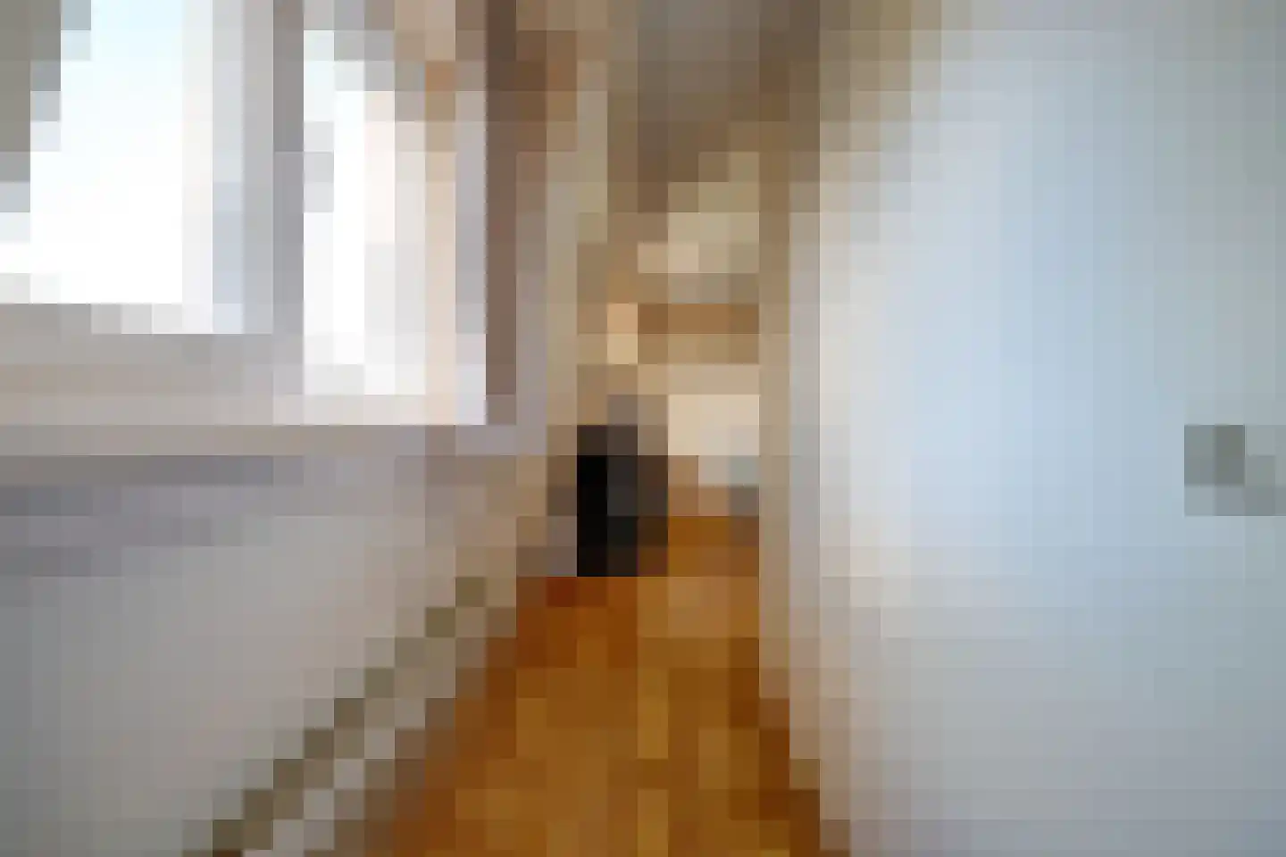 Torenstraat 1 Vlijmen thumbnail 20