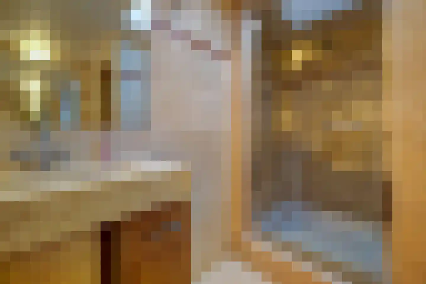 Torenstraat 1 Vlijmen thumbnail 23